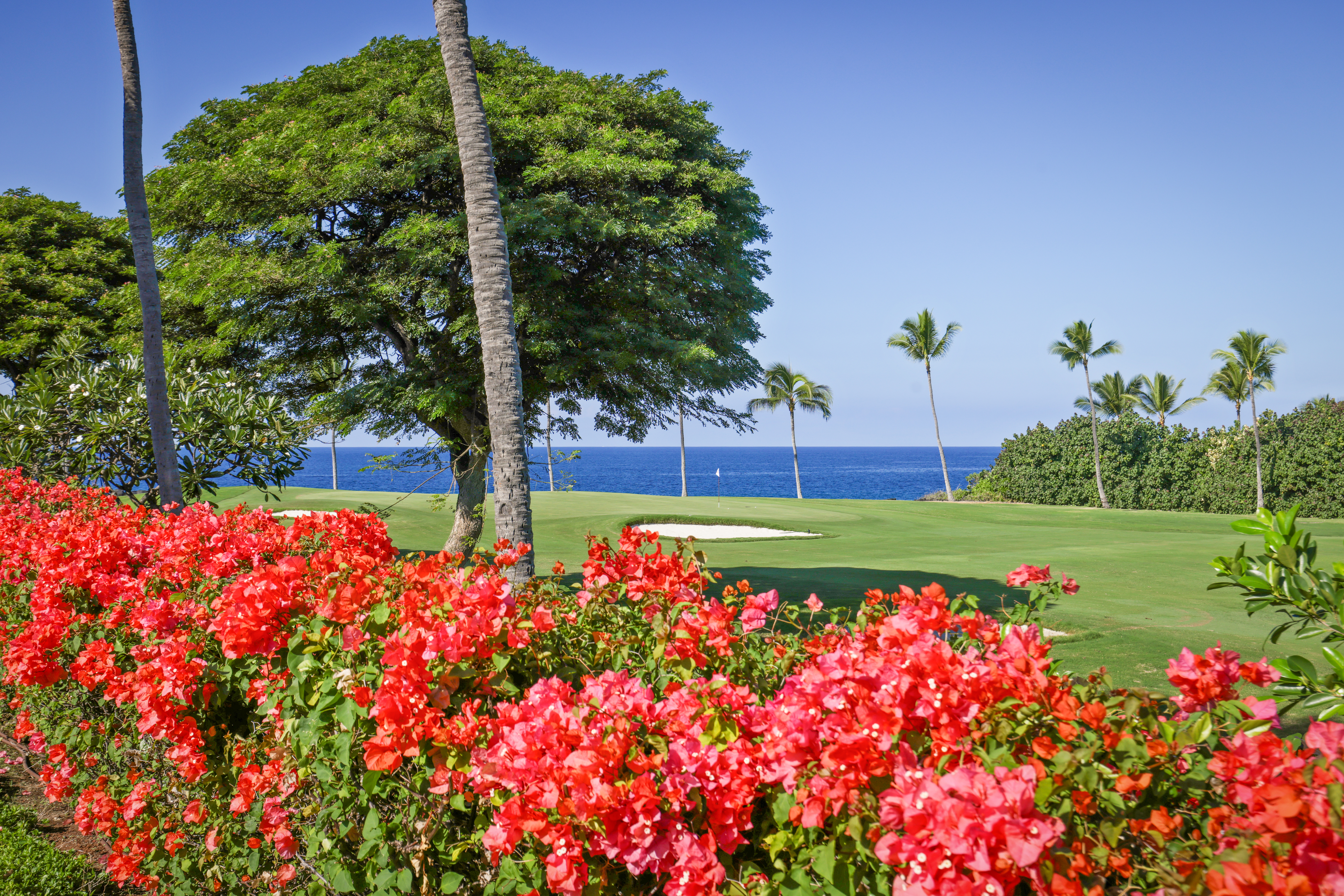 Kona Coastal View