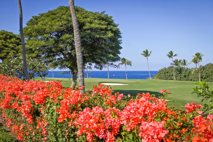 Kona Home