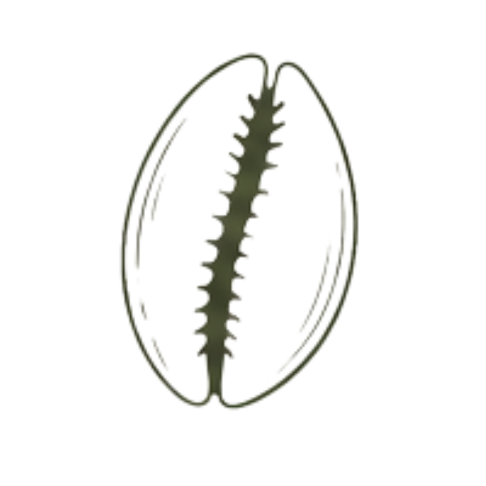 Cowrie shell